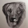 Kyle's profile picture