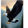 கழுகுப்பார்வை 🦅🇮🇳's profile picture