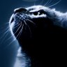 TTDR profil fotoğrafı