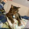 cake's profile picture