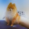 Fntz's profile picture