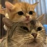 W-BEN-🕊️'s profile picture