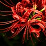 Фото профиля hiRotO