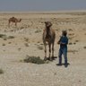 ضياءالشيخ profil fotoğrafı