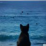 ZHOUDD_W profil fotoğrafı