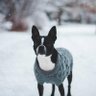 Фото профиля Aiden Goyette