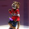 🏒☀️🌴🏆 profil fotoğrafı