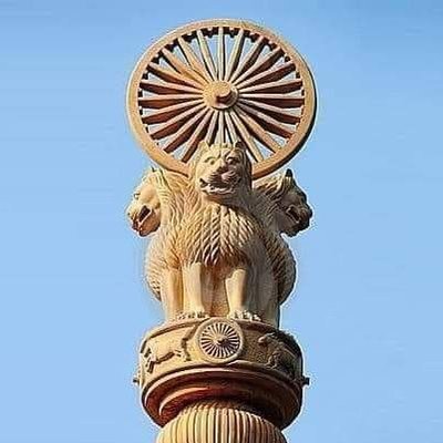 Rational View's profile picture