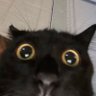 Profilbild von Reni!