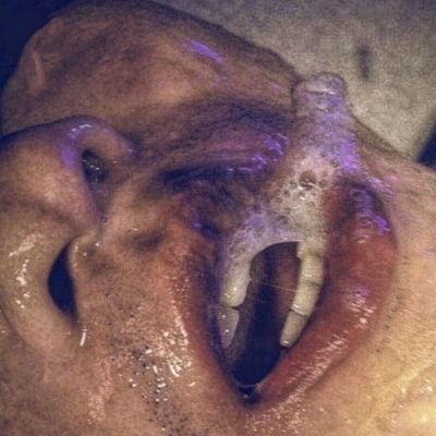 plaenthusiast's profile picture