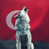 Profilbild von TrVatandaşı