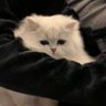 Profilbild von Susan Parker