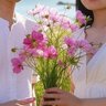 碧's profile picture