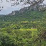 Shumba YeChirumhanzu 🇿🇼 🇿🇼 profil fotoğrafı