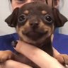 Theylovetgv's profile picture