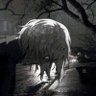 Autumn Shine's profile picture
