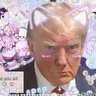 Фото профиля AlmightyTrump