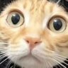 Profilbild von idfkuh