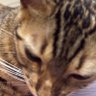 Jose Ricardo's profile picture
