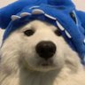 lunarz's profile picture