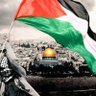 أحمد الحوفي 🇵🇸🇵🇸🇵🇸's profile picture