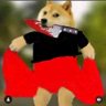RajVIN's profile picture