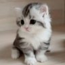 mimi's profile picture