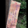daidai 的头像