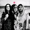 Tayyab Baloch profil fotoğrafı