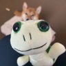 ボラギノール profil fotoğrafı