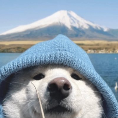 sixmo66's profile picture