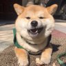 文清's profile picture