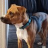 Jake Lee profil fotoğrafı