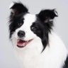 miiii's profile picture