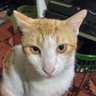 Profilbild von metimebos