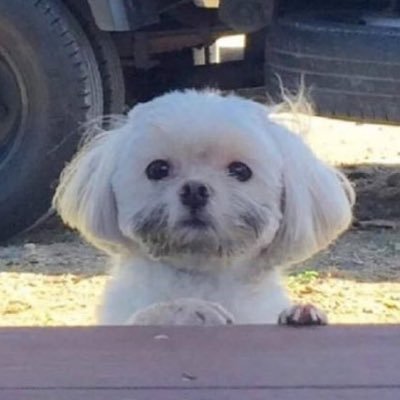 onnszftt's profile picture
