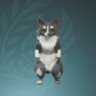 スペちゃん profil fotoğrafı