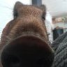 Jean's profile picture