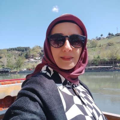 Pınar Aslan's profile picture