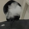 .. profil fotoğrafı