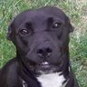 GilbertLane's profile picture