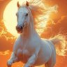 Profilbild von مُتَأَمِّل