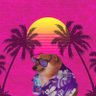 Caro's profile picture