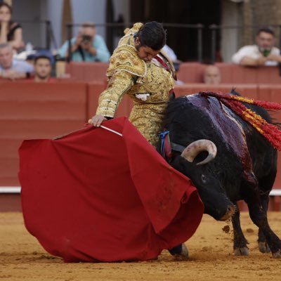 Tercio de Quites's profile picture