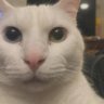 Profilbild von Wilq