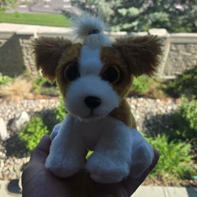 DonaldFReynolds's profile picture