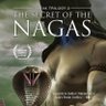 Nagas's profile picture