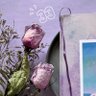 ふちゃ's profile picture
