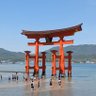 平和が一番 profil fotoğrafı