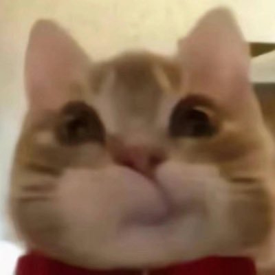 무영's profile picture